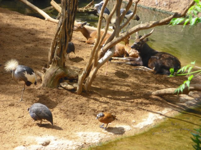 1º ESO EPVA: UNIDAD DIDACTICA para 1º ESO - ESCULTURA EN BARRO