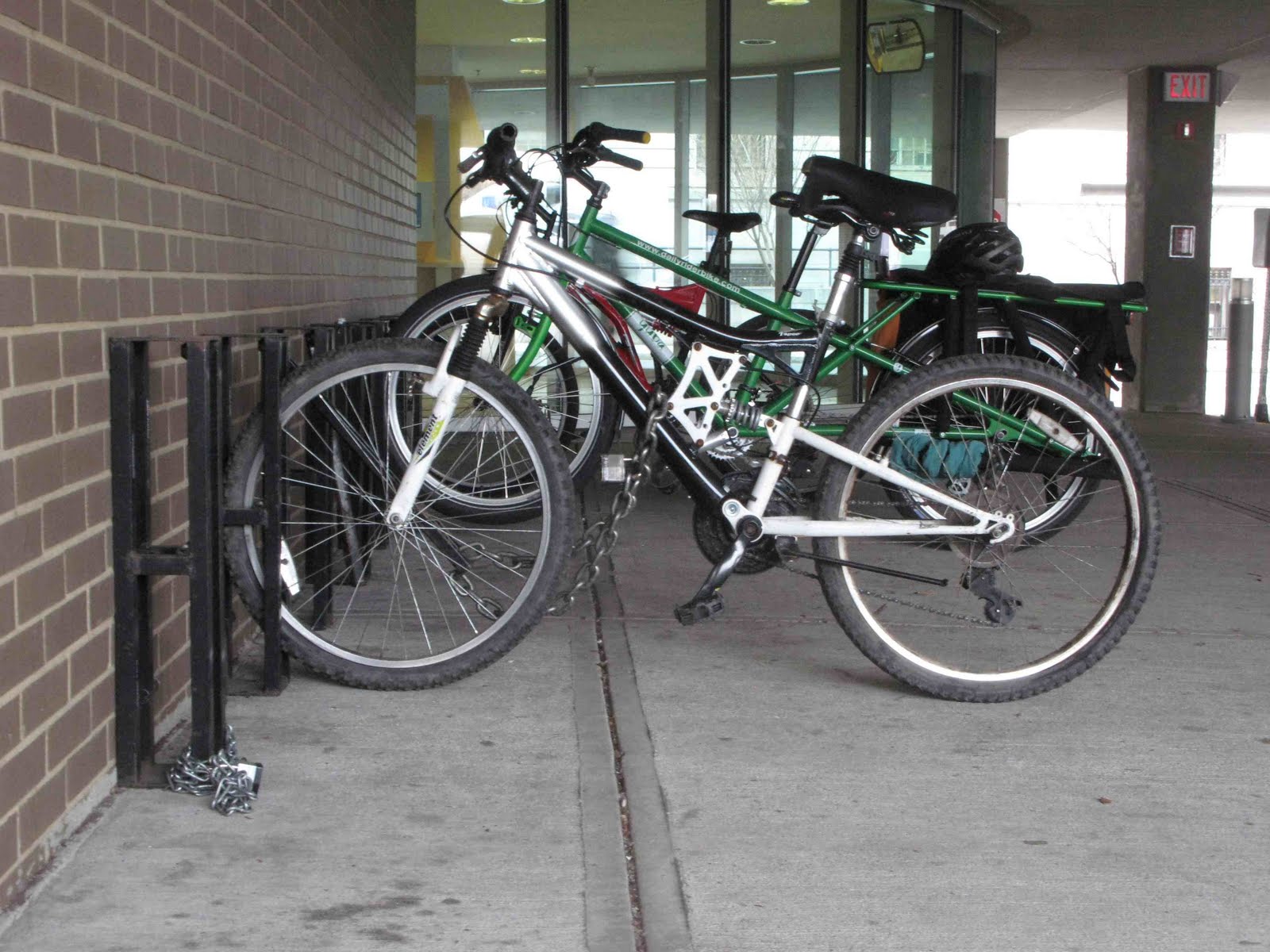 [brakeless+goose+l+side.jpg]