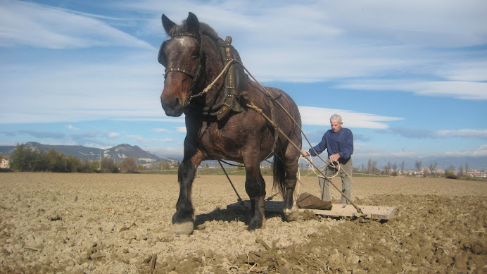 En Josep de Pratdesaba passant el rascle