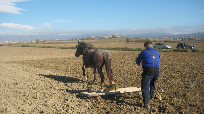 En Ton de l'Om (estat) passant el rascle després de la sembrada