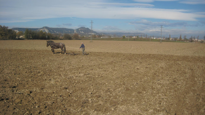 El silenci del pagès que feineja