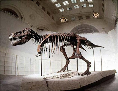 http://2.bp.blogspot.com/_xM6S1O620QE/SY0TzbL1dWI/AAAAAAAAGN8/crep7OGBwRw/s400/Sue+T-Rex.jpg