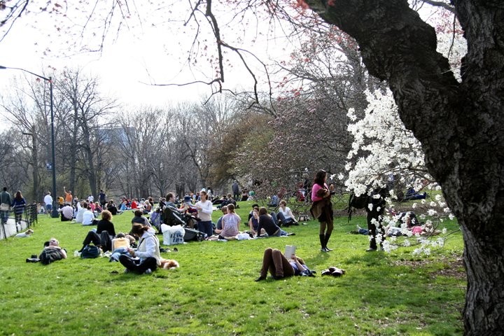 [IMG_8798.JPG]