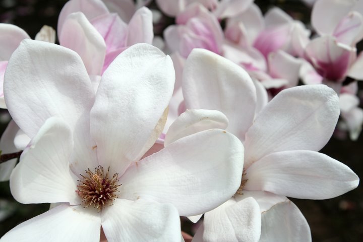 [IMG_8843.JPG]