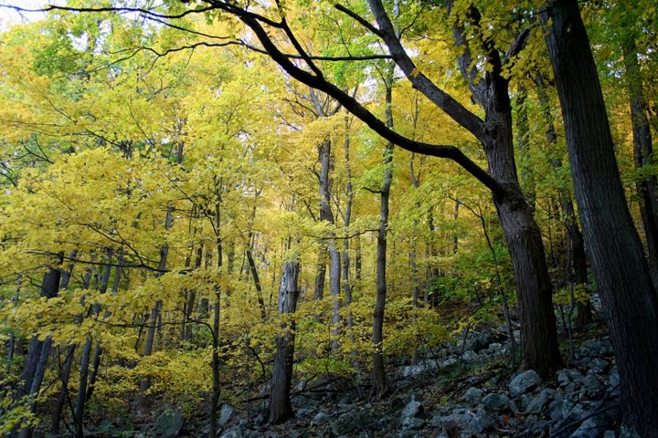 [IMG_2619.JPG]