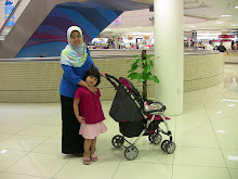 Pulau Pinang 2009