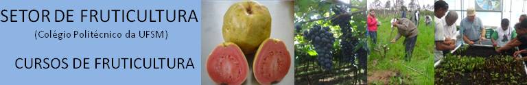 Setor de Fruticultura                                                 (Colégio Politécnico da UFSM)