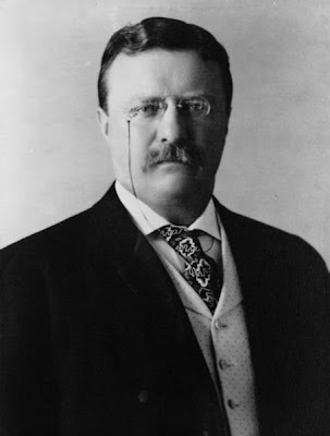 Teddy Roosevelt's View on Immigration - Turning the Tide...