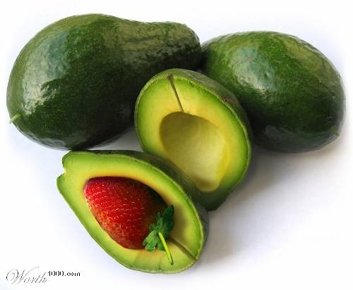 [transgenicos23.jpg]