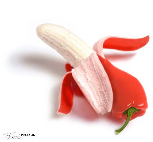 [transgenicos34.jpg]