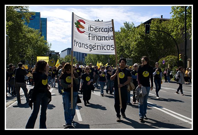 [18-04-2009-no-a-los-transgenicos_67.jpg]