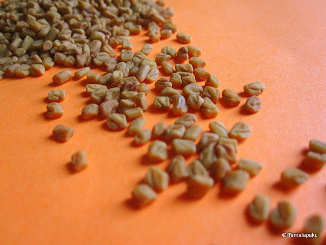 Fenugreek Seeds