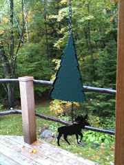 Moose