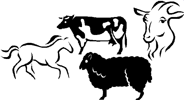 stock show clip art - photo #49