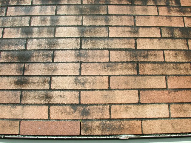 Arreglalo Ya: diciembre 2010