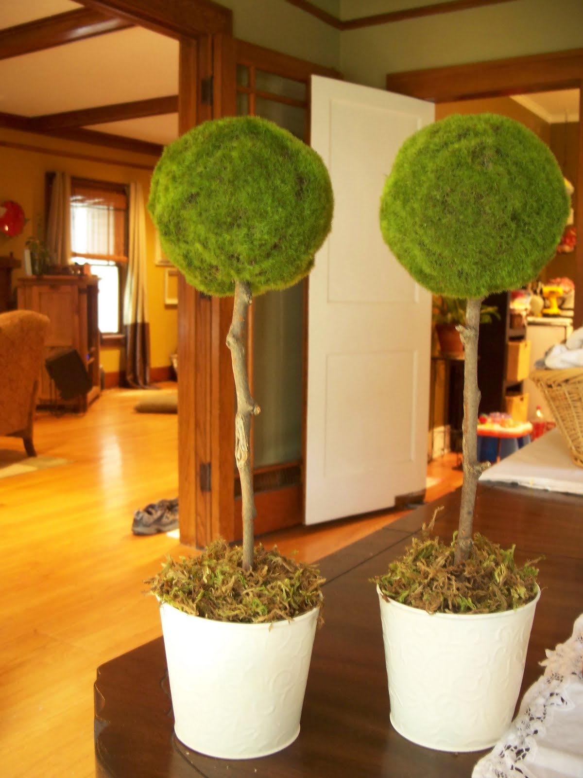 widdlebugs Mossy Topiaries
