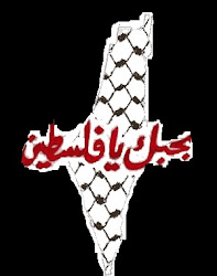 حبيبتي فلسطين