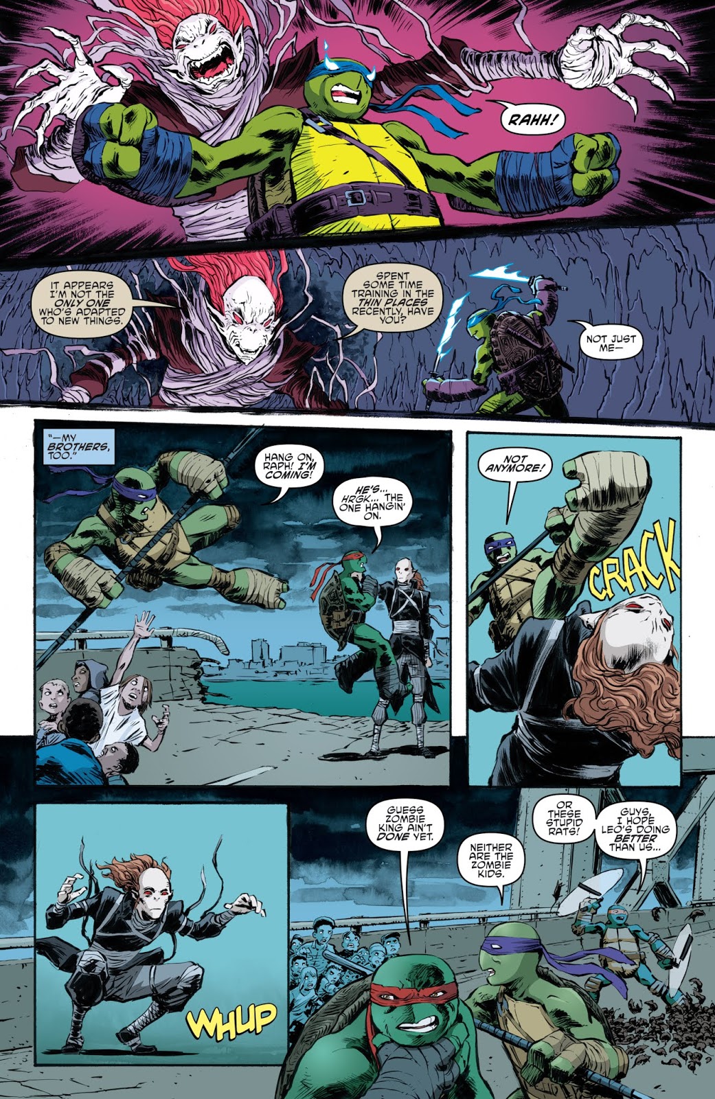 Teenage Mutant Ninja Turtles (2011) issue 84 - Page 17