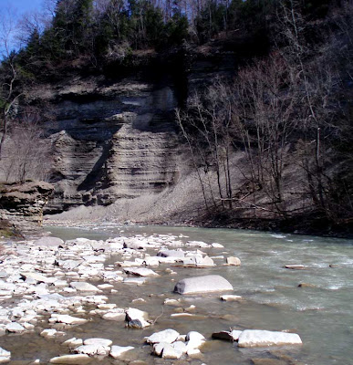 cattaraugus creek fishing fly