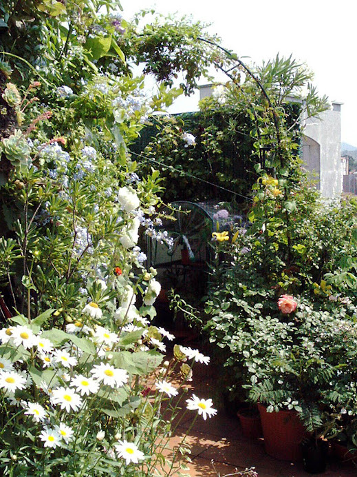 Un rincón de la terraza