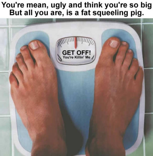 Fat Bathroom Scale 106