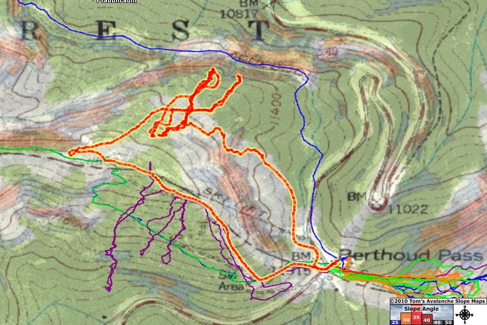  Tom's Trip Reports Berthoud Pass Meadows 120410