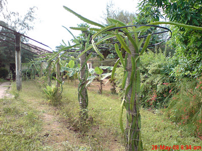 DSC00016.JPG