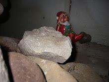 Sauna gnome