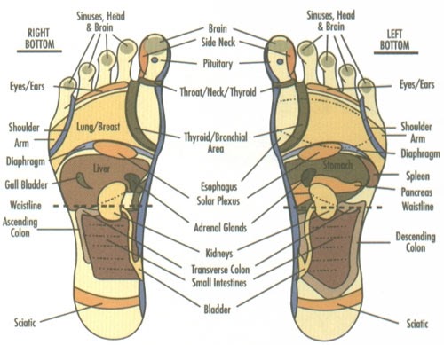 Ubat Kuat Lutut - Contoh Atr