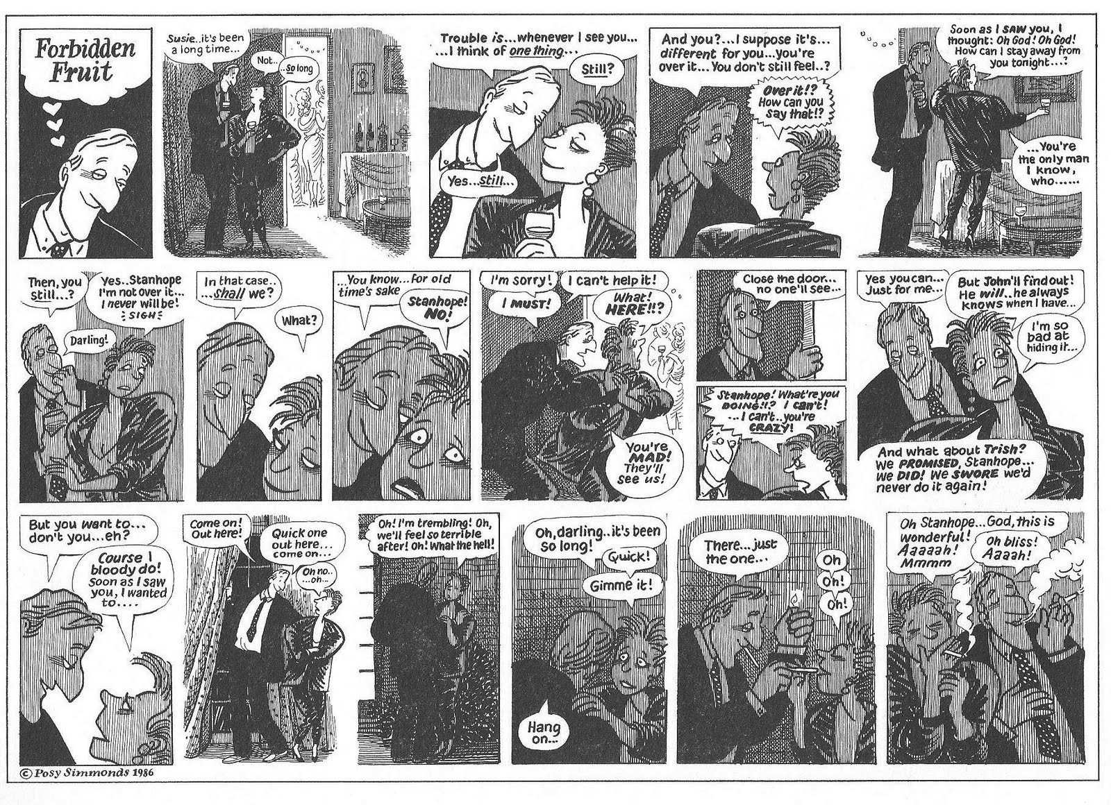 Sunday Comics Debt Posy Simmonds