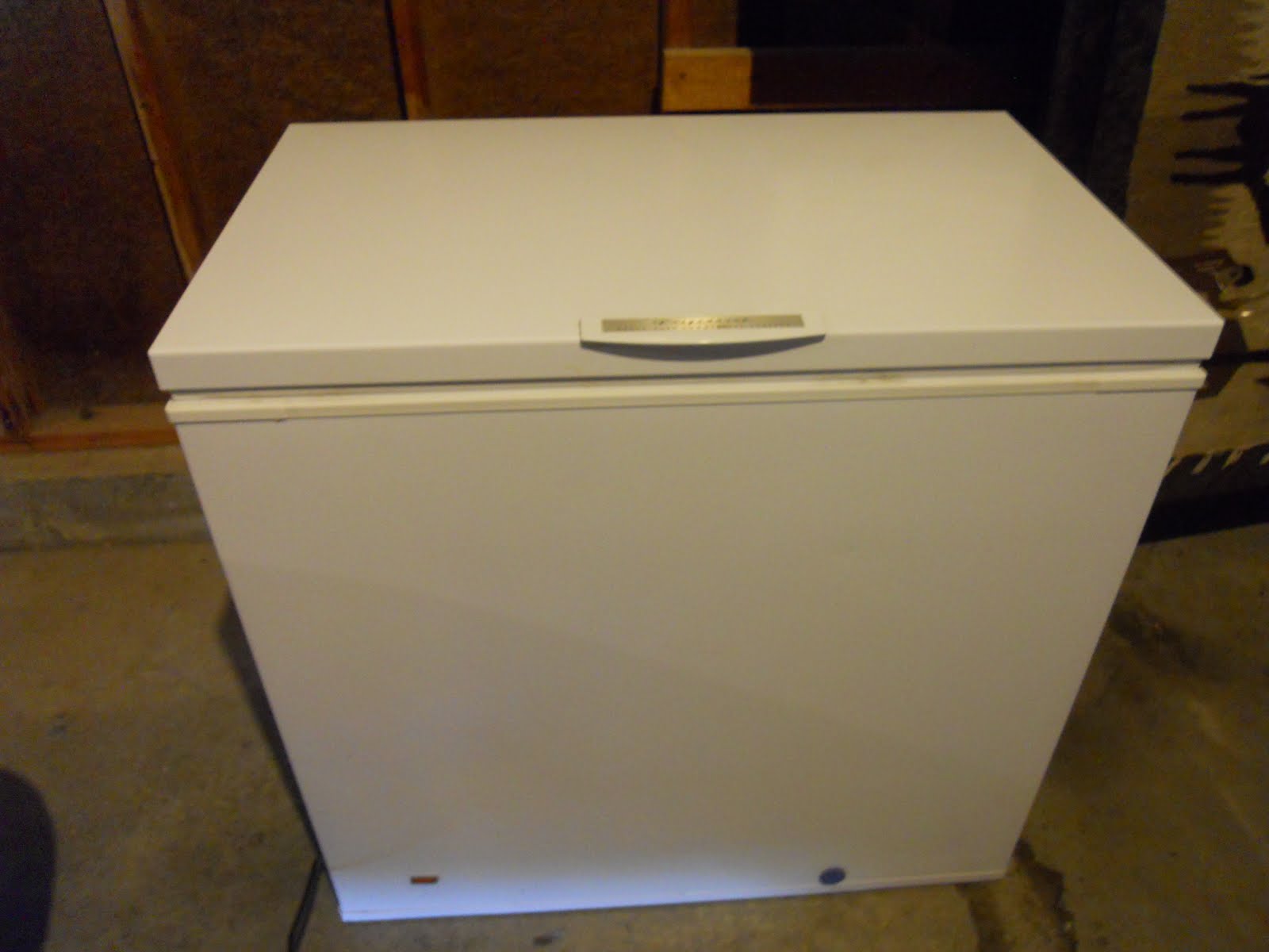 Olsen Estate Sale Frigidaire Heavy Duty Commercial Freezer 225