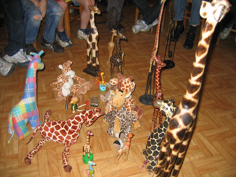 Séance en collaboration avec l'université de paix