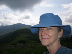 Hiking Roan Mountain on the AT