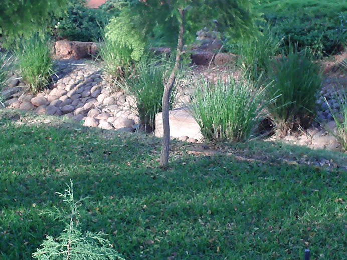 Real Estate Landscape