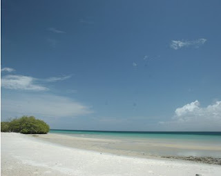 Pasa vacaciones en Margarita