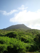 Cerro Guayamurí