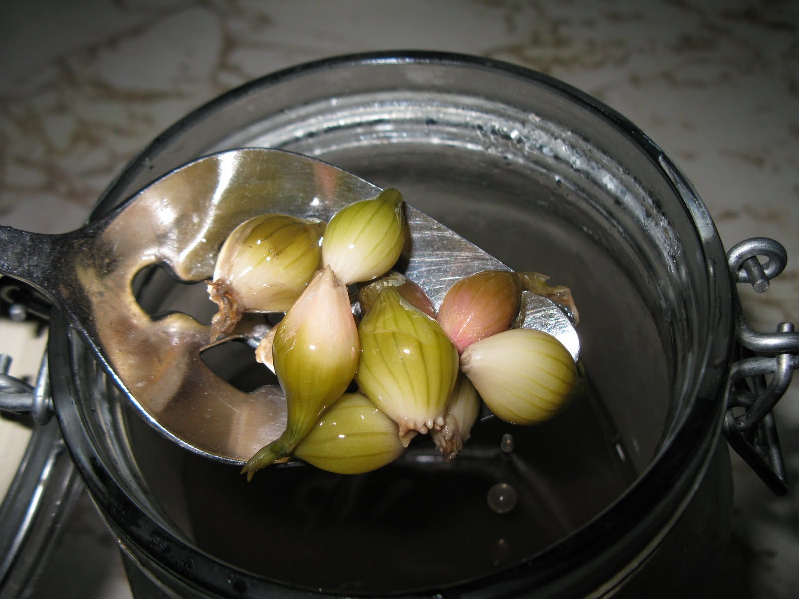 Simply Homemaking Report on Fermented Egyptian Onions