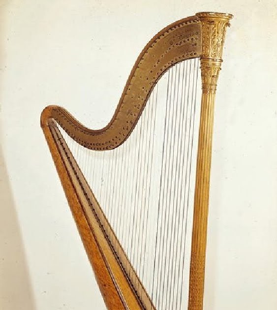 Álbumes 101+ Foto A Qué Familia Pertenece El Arpa Cena Hermosa