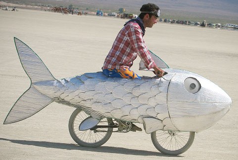 Velorution+-+Fish+bike.jpg