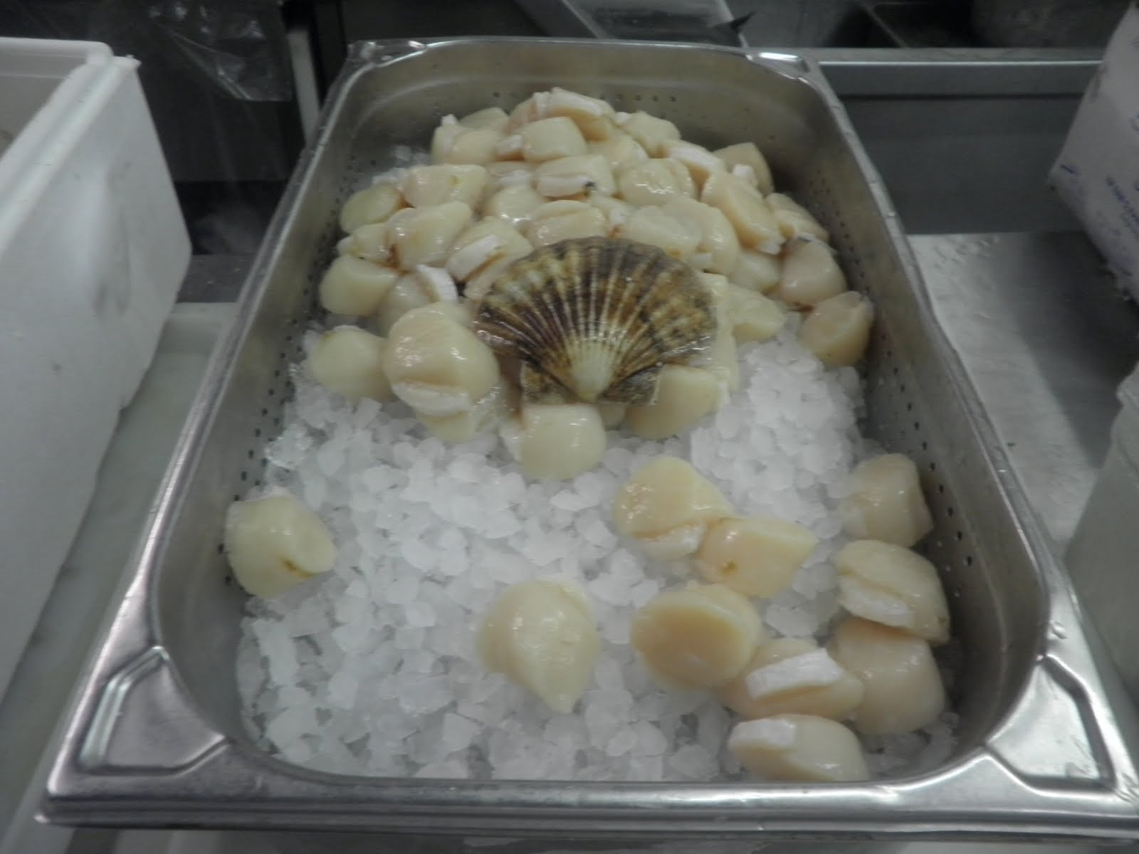 A Chefs Life Cleaning Scallops.
