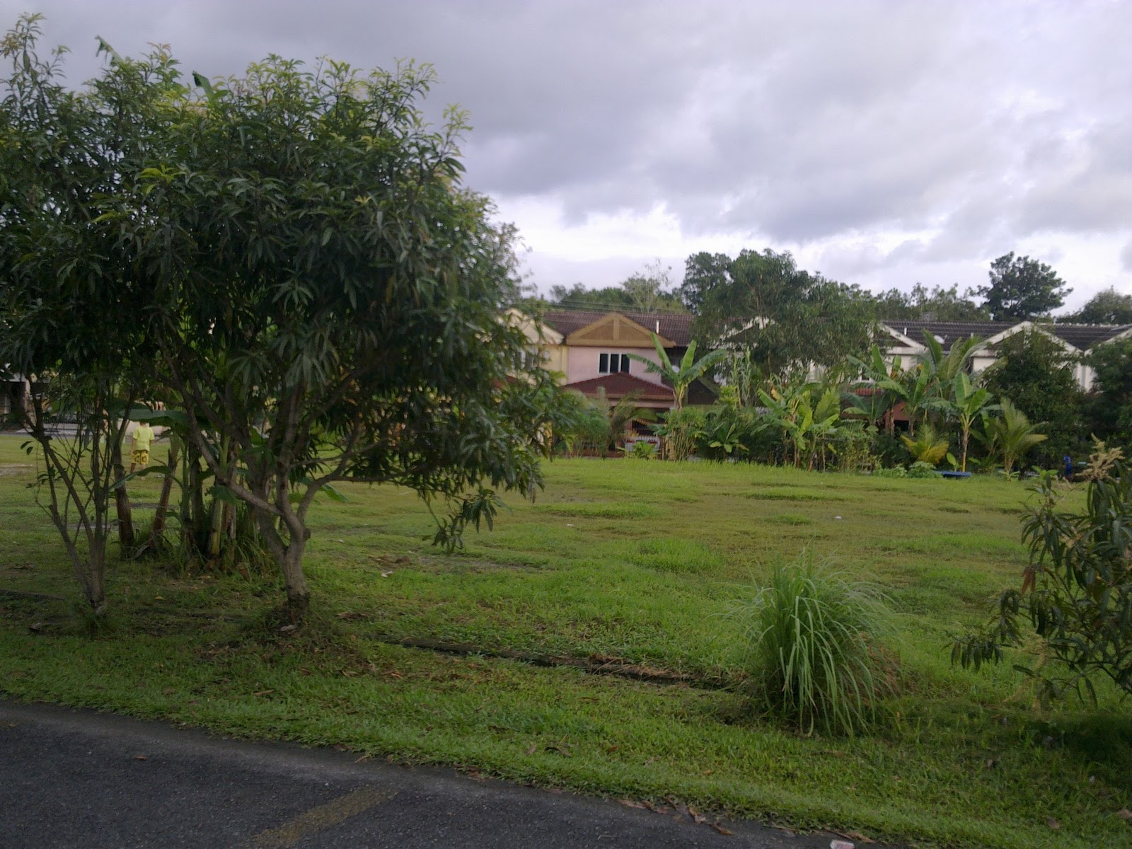 Menawarkan khidmat jual, beli & sewa hartanah Rumah Teres Di Taman