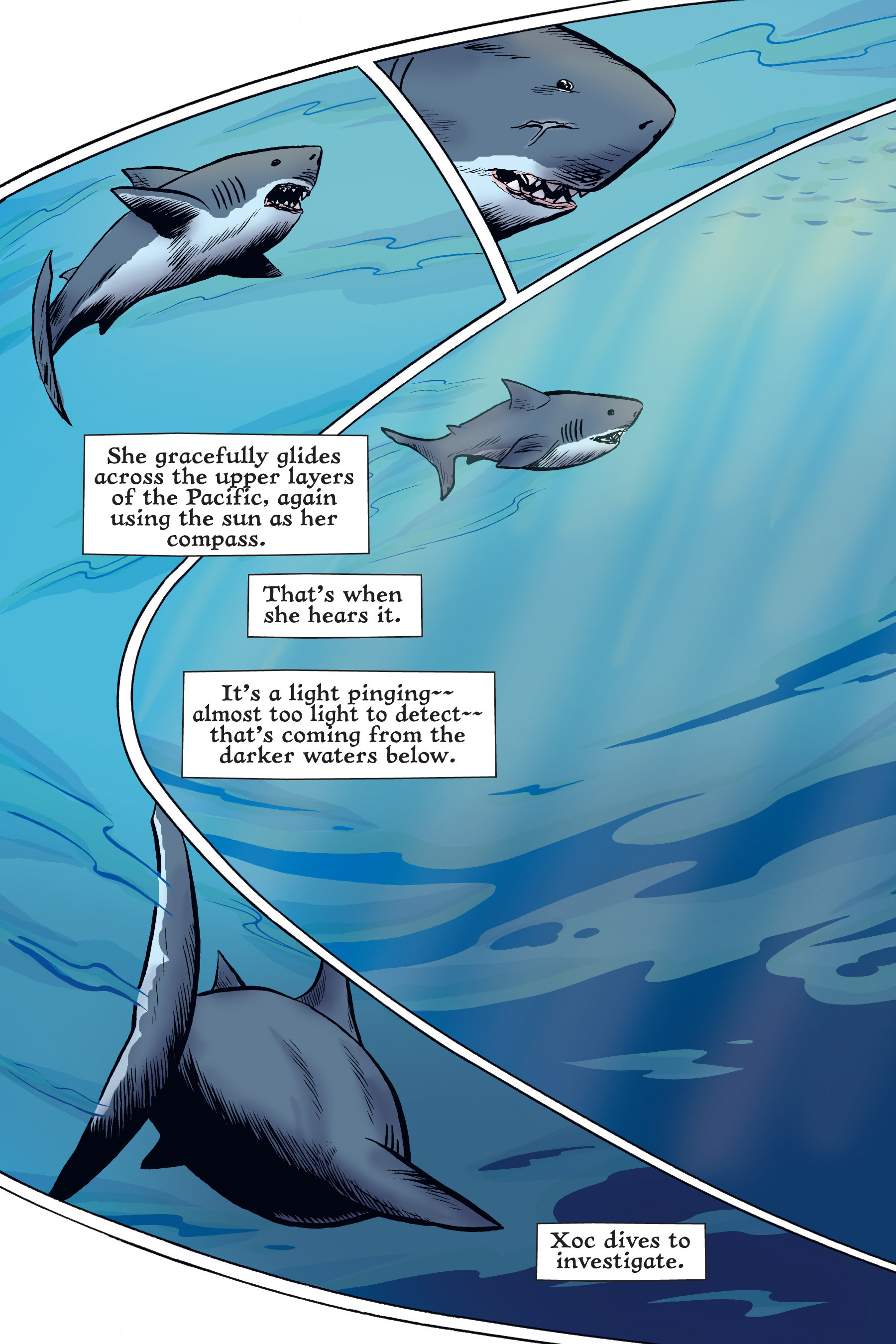 Read online Xoc: Journey of a Great White comic -  Issue # TPB - 114