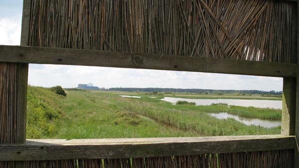 [minsmere_0904.jpg]