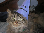 Shakespeare's Birthday!
