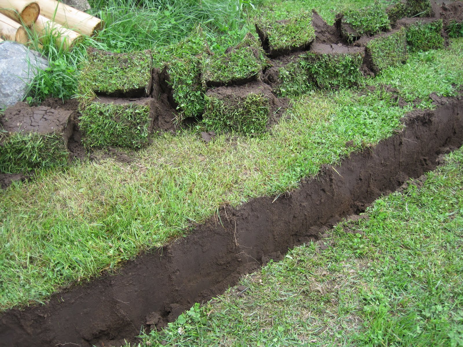 Garten Eins August 2010