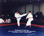 Campeonato Mundial de Karate-Do de La Moto Bu ha . Copa Solintex, Año 2.001