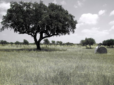 I Think I Like To Stay By MariaSantosms Photography