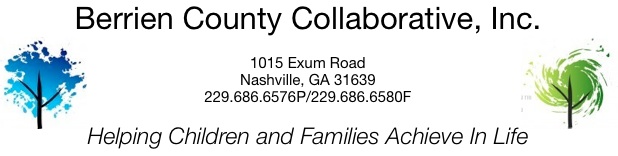 Berrien County   Collaborative, Inc.