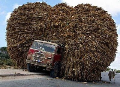 funny overloaded truck hay weird