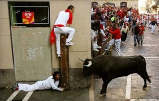 crazy bull run photo in pamplona scared people hiding from bull funny